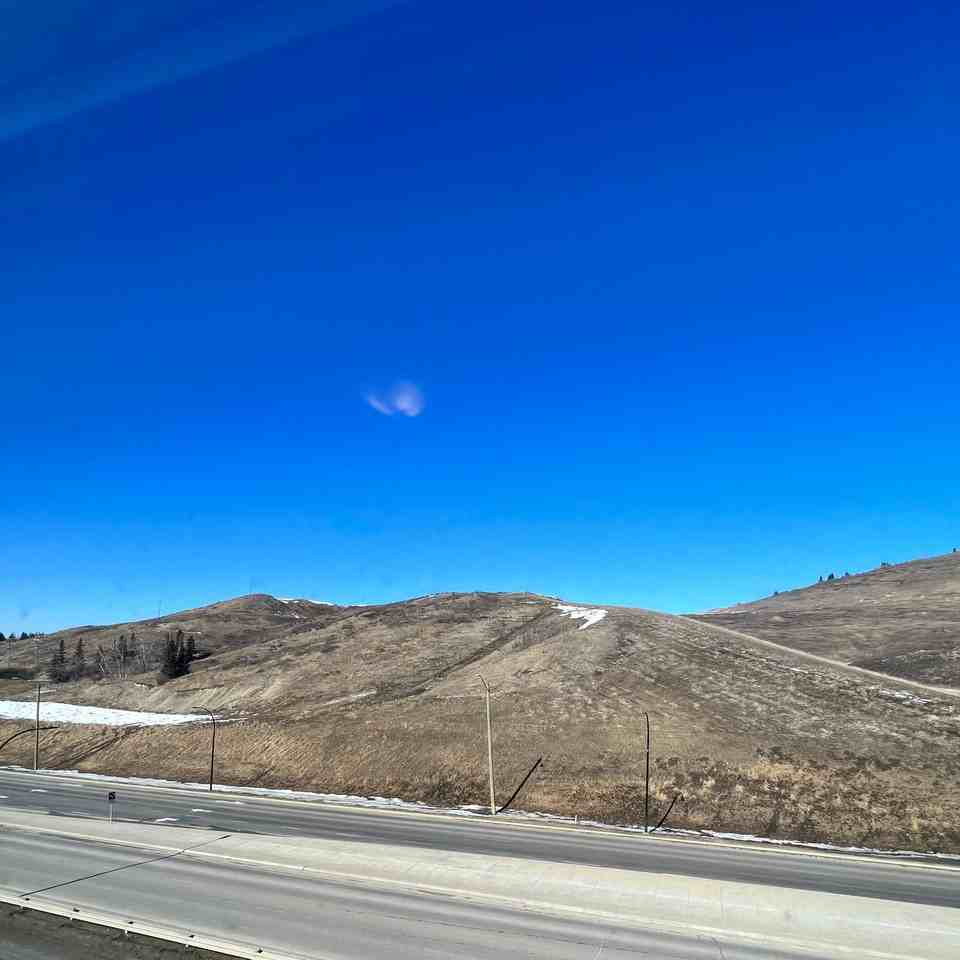 The Milroy - Photo 5 of 21