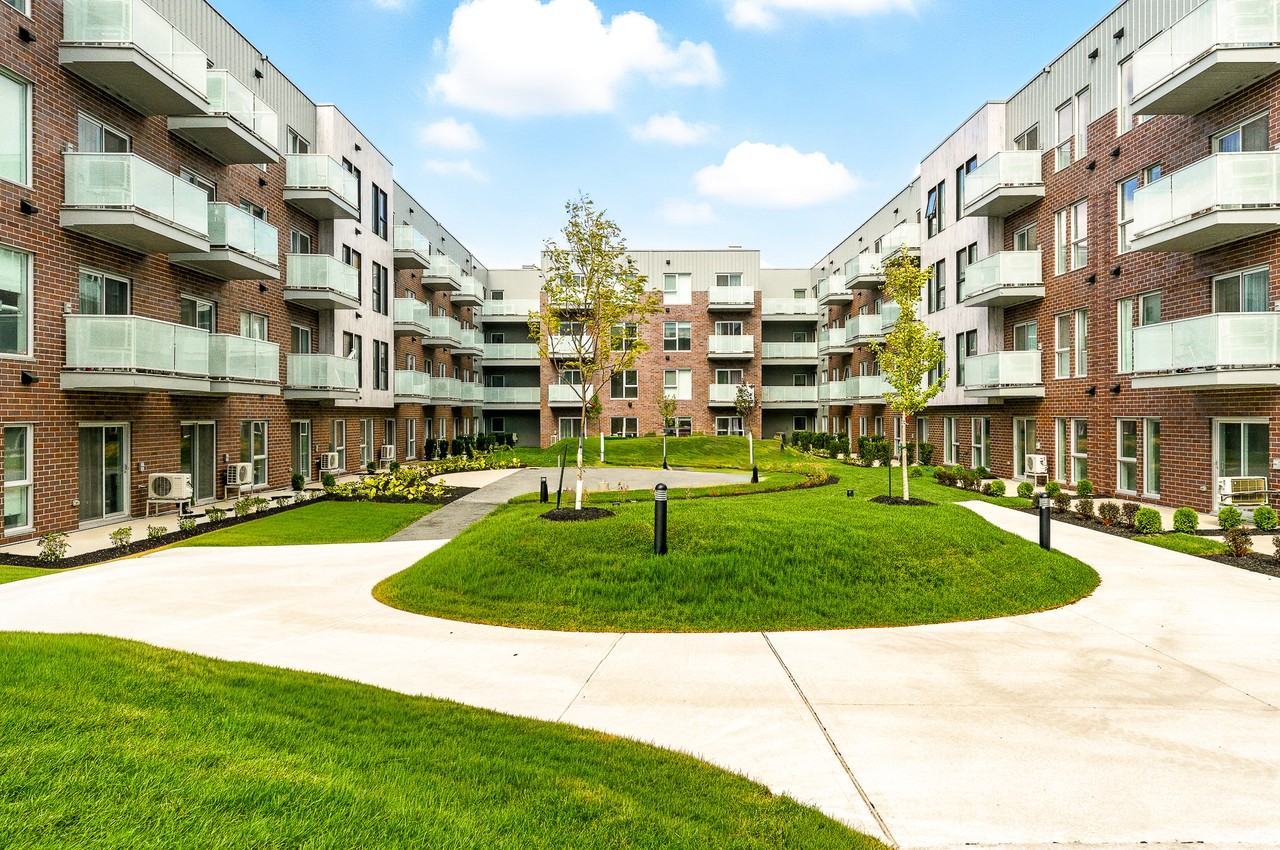 Gardenia - Photo 3 of 17