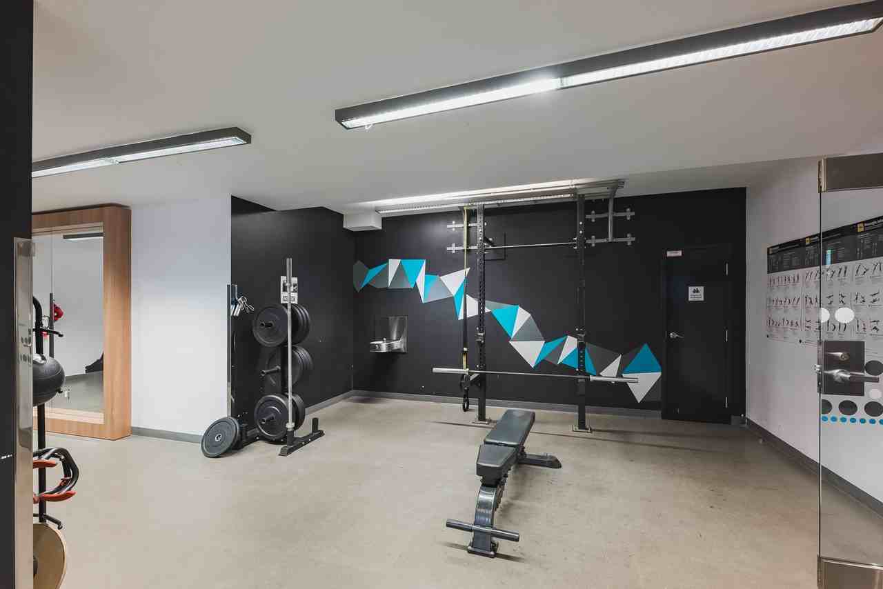 LUNA - Photo 7 of 43