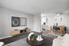 The Archer - Photo 1 of 1