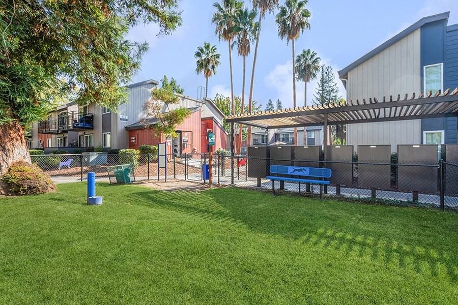 The Archer - Photo 4 of 27