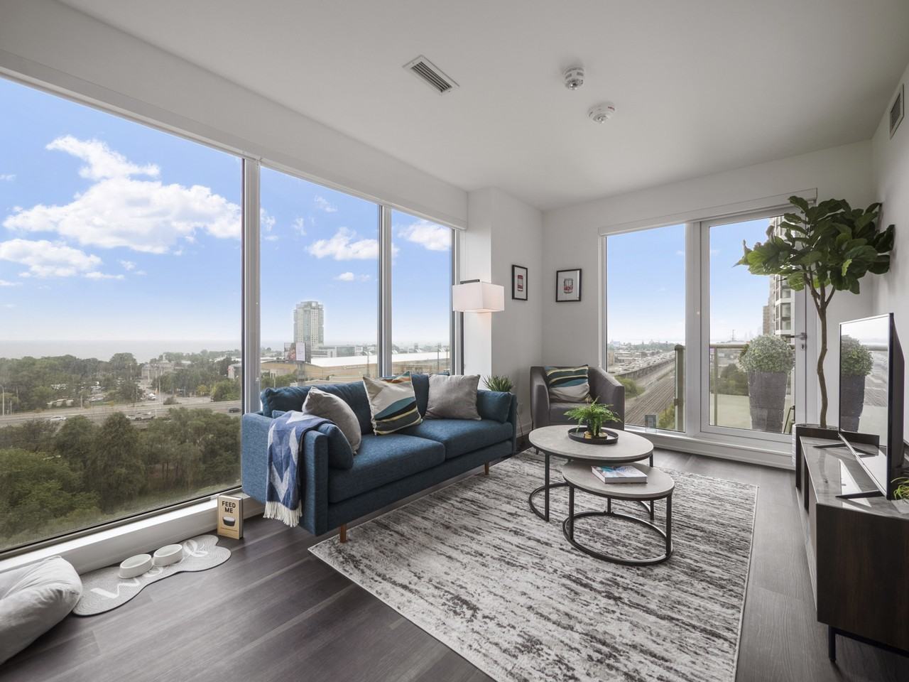 Novus - Photo 4 of 43