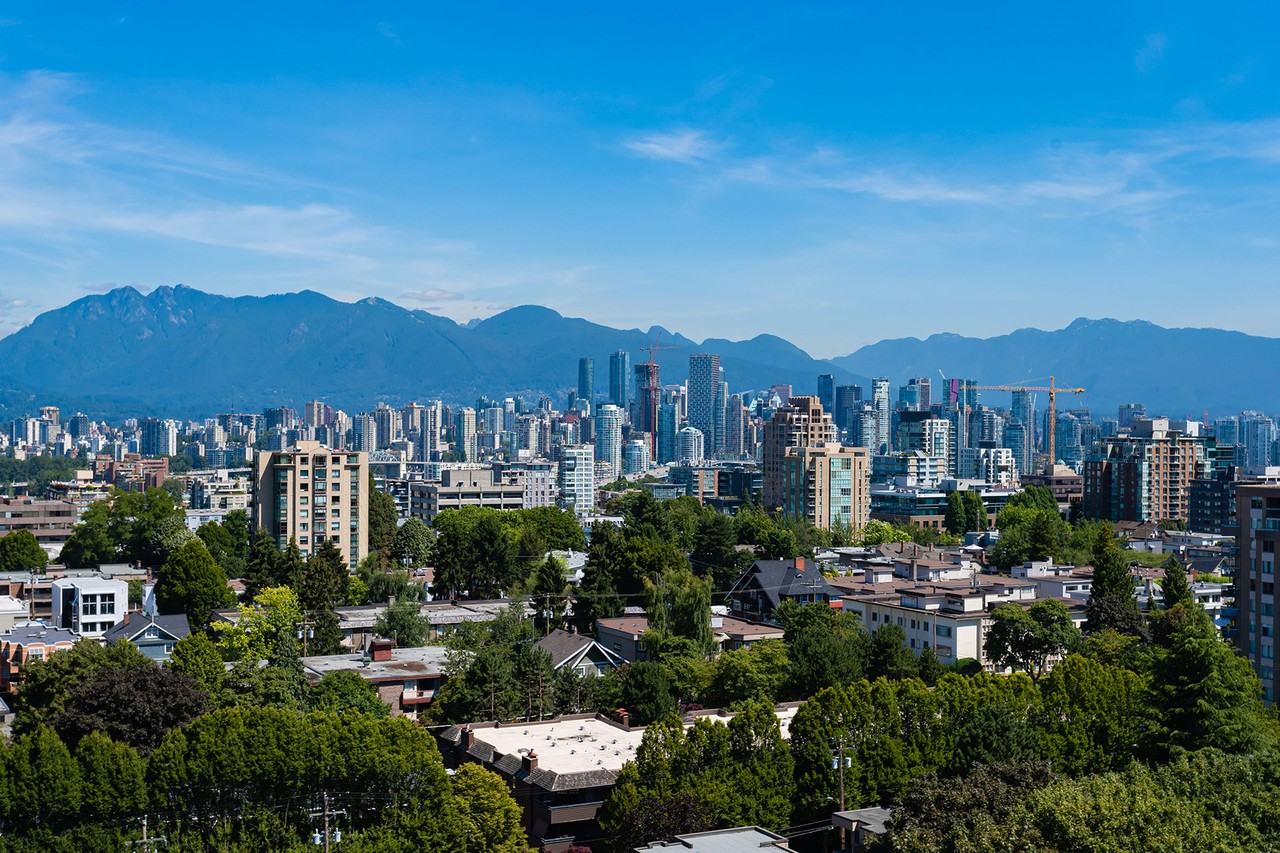 Viridian - Photo 7 of 50