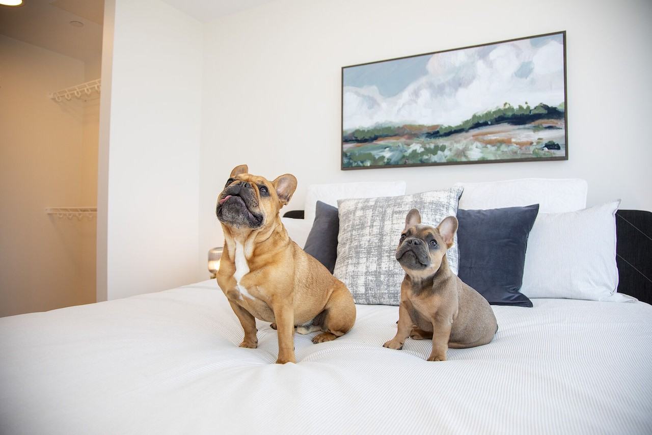 Sunalta Heights - Photo 5 of 19