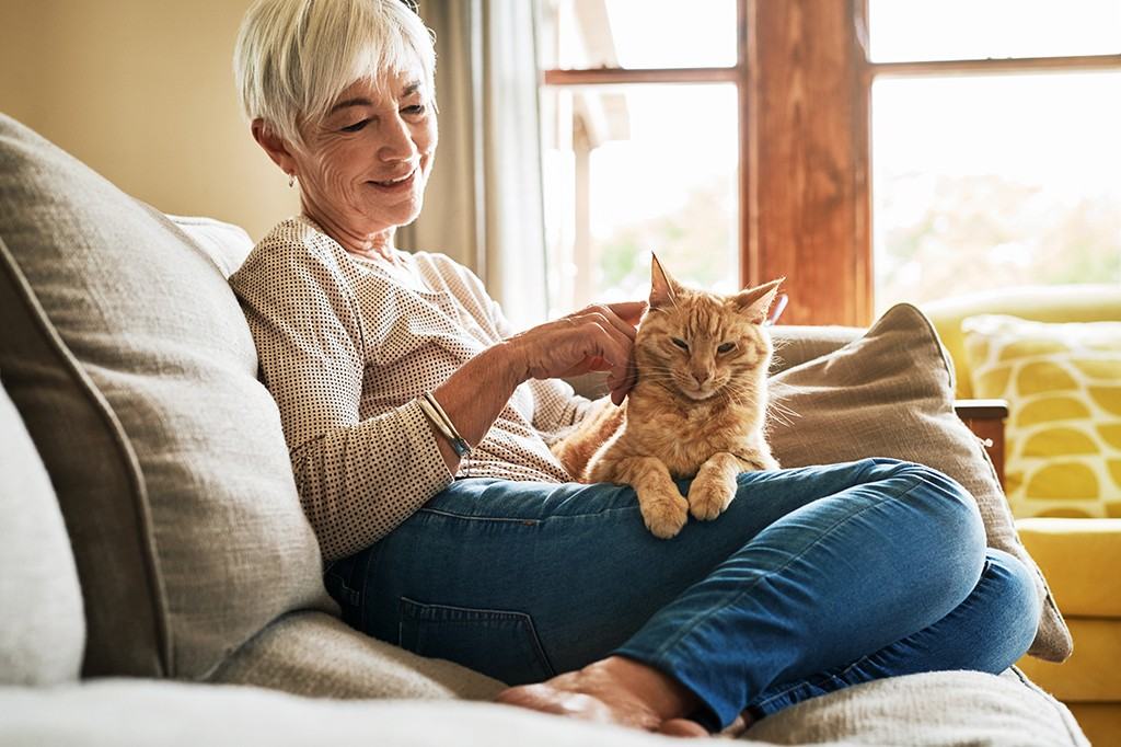 The Laurier - Photo 6 of 25