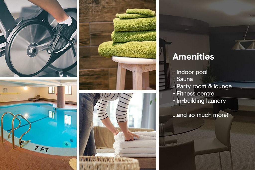 Castle Hill - Photo 6 of 29