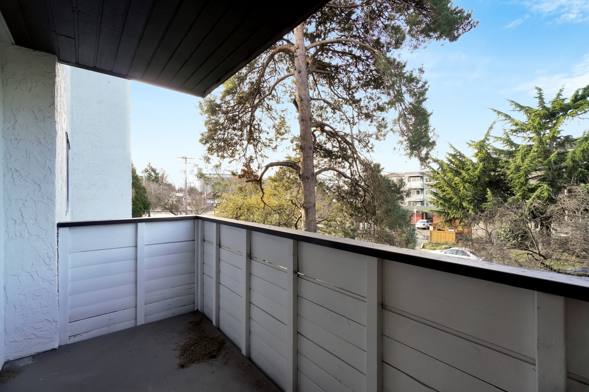 2533 Dowler Place - Photo 7 of 18