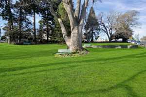 featured image of 707 Esquimalt Rd