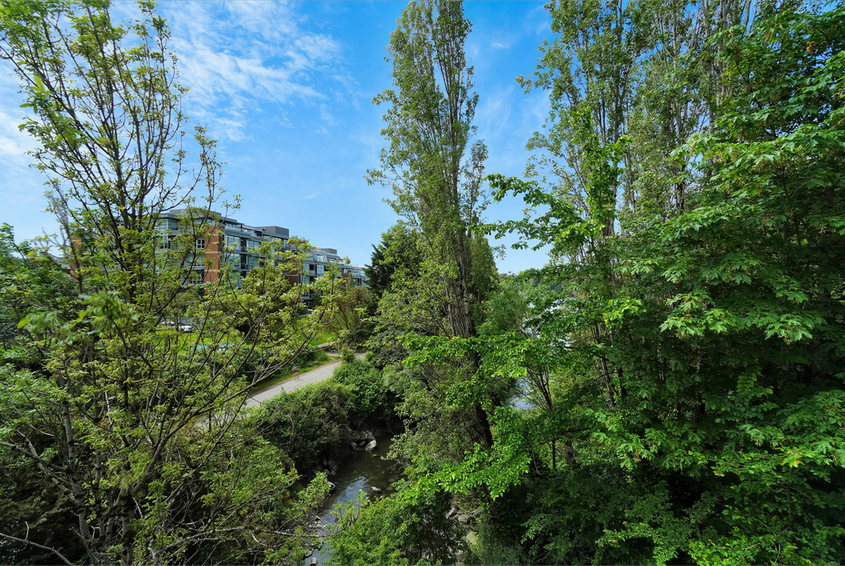 252 Gorge Rd E - Photo 3 of 18