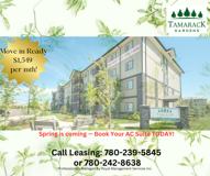 Tamarack Gardens - Photo 1 of 1