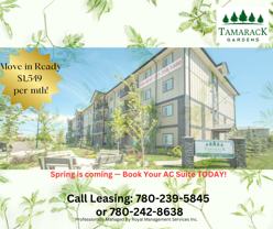 Tamarack Gardens - Photo 1 of 1