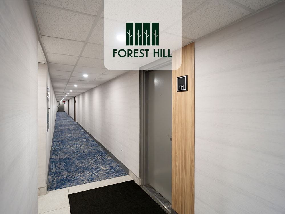 Forest Hill - Photo 7 of 18
