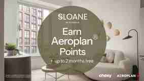 Sloane - Photo 1 of 1