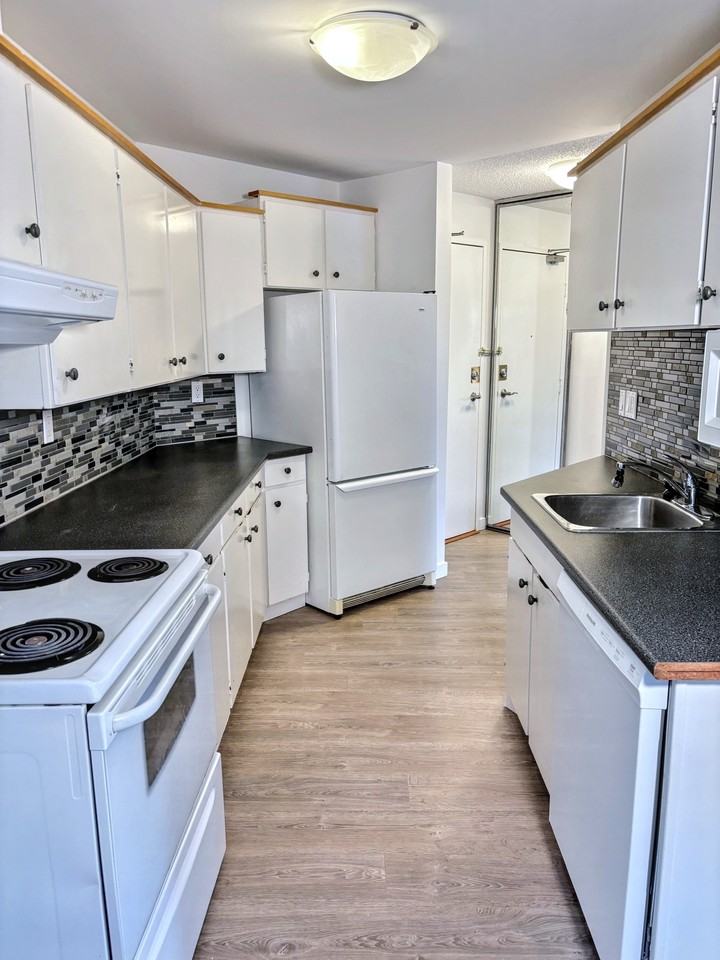 Haro - Photo 4 of 50