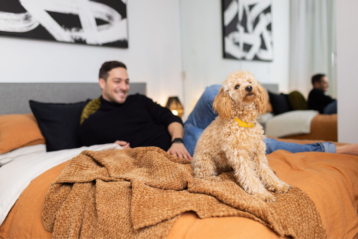 Strada - Photo 7 of 14