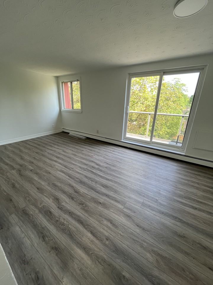 294 Saulsbury Street - Photo 6 of 10