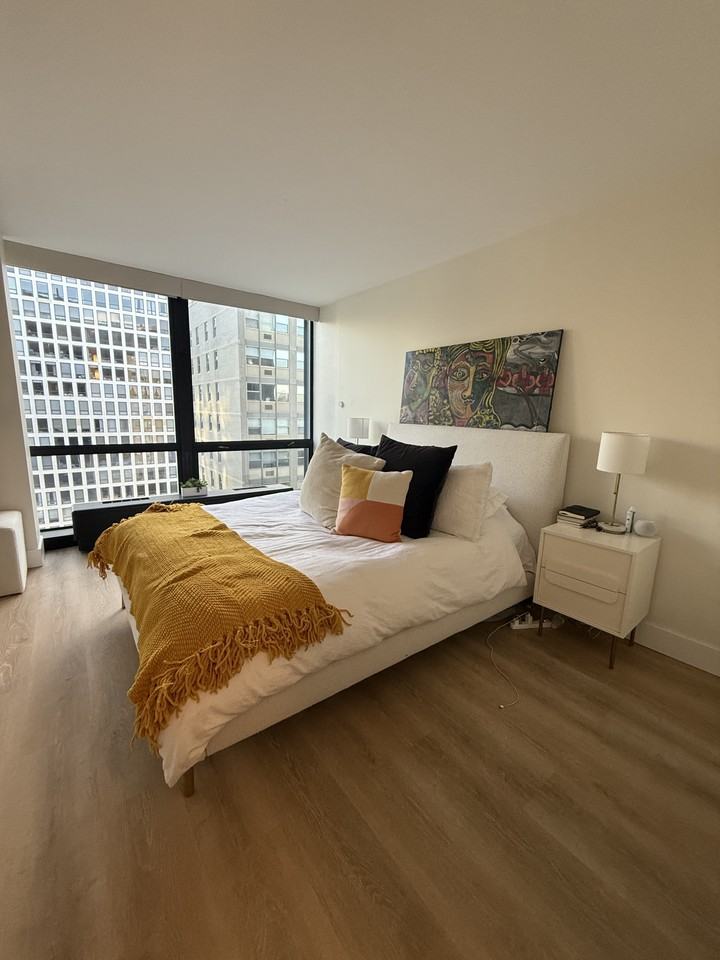 E Delaware Pl & N Lake Shore Dr - Photo 5 of 17