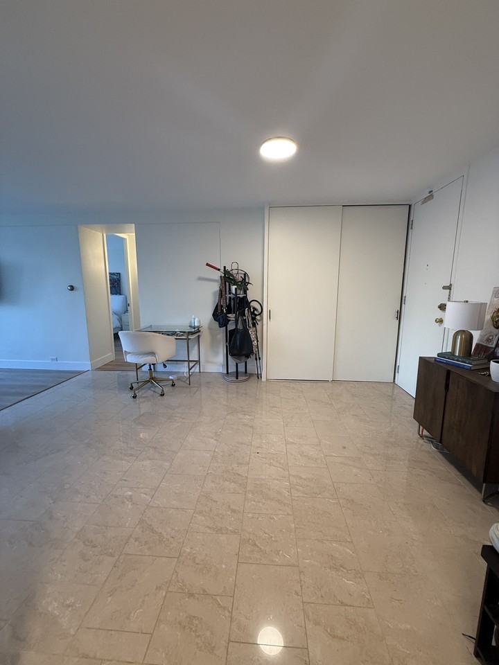 E Delaware Pl & N Lake Shore Dr - Photo 7 of 17