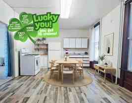 Zuria - 503 - Photo 1 of 1