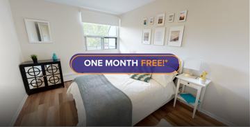 featured image of 341 Flora St