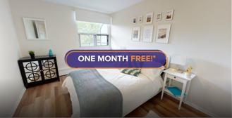 341 Flora - Photo 1 of 1