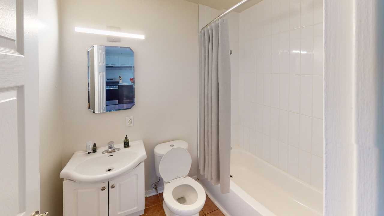 341 Flora - Photo 6 of 21