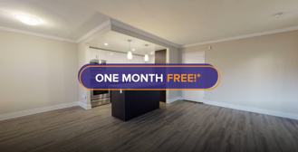 455 Maple - Photo 1 of 1