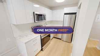 Cartier Street - Photo 1 of 1