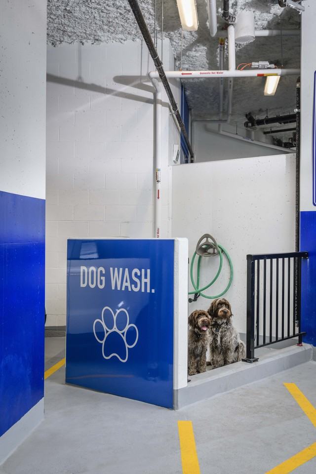 The Westminster - Photo 5 of 50