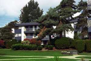 featured image of 14921 104 Ave