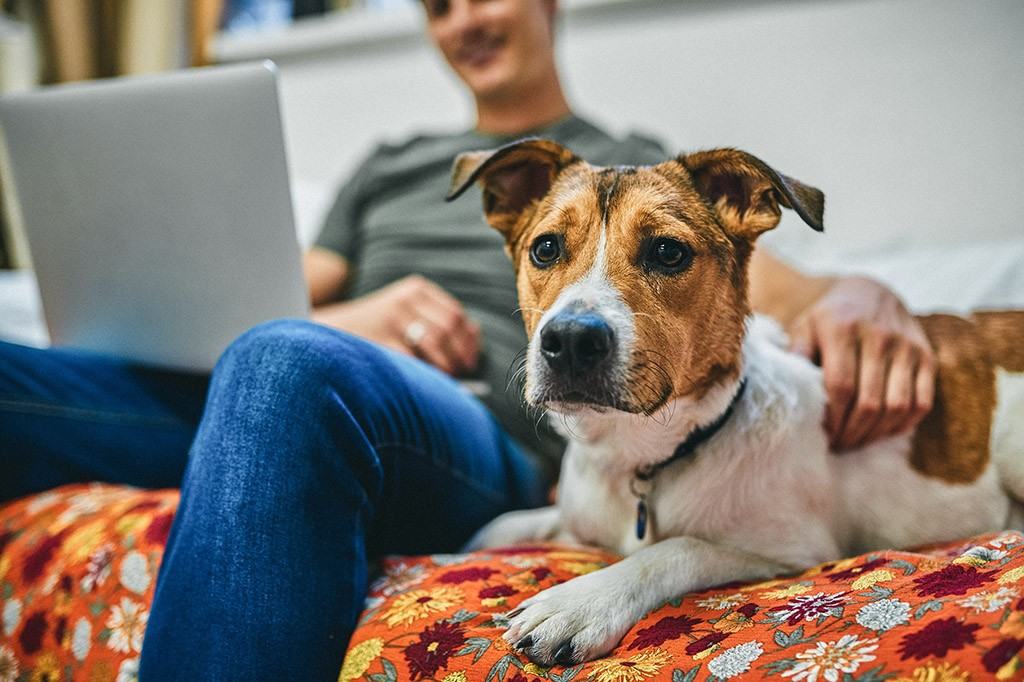 Navaho Townhomes & Garden Homes - Photo 6 of 39