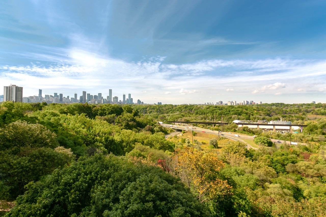 1010 Broadview Ave - Photo 7 of 38