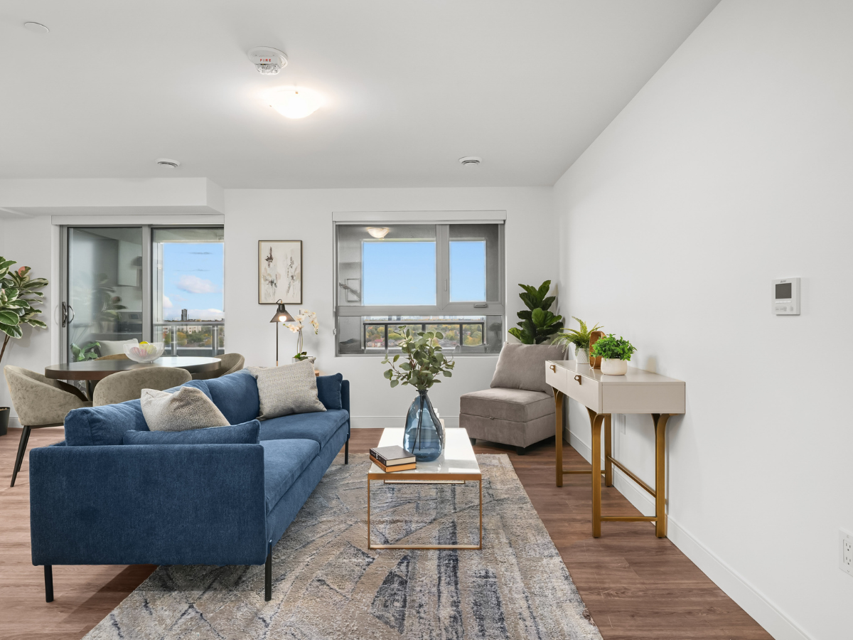 Manett - Photo 5 of 44