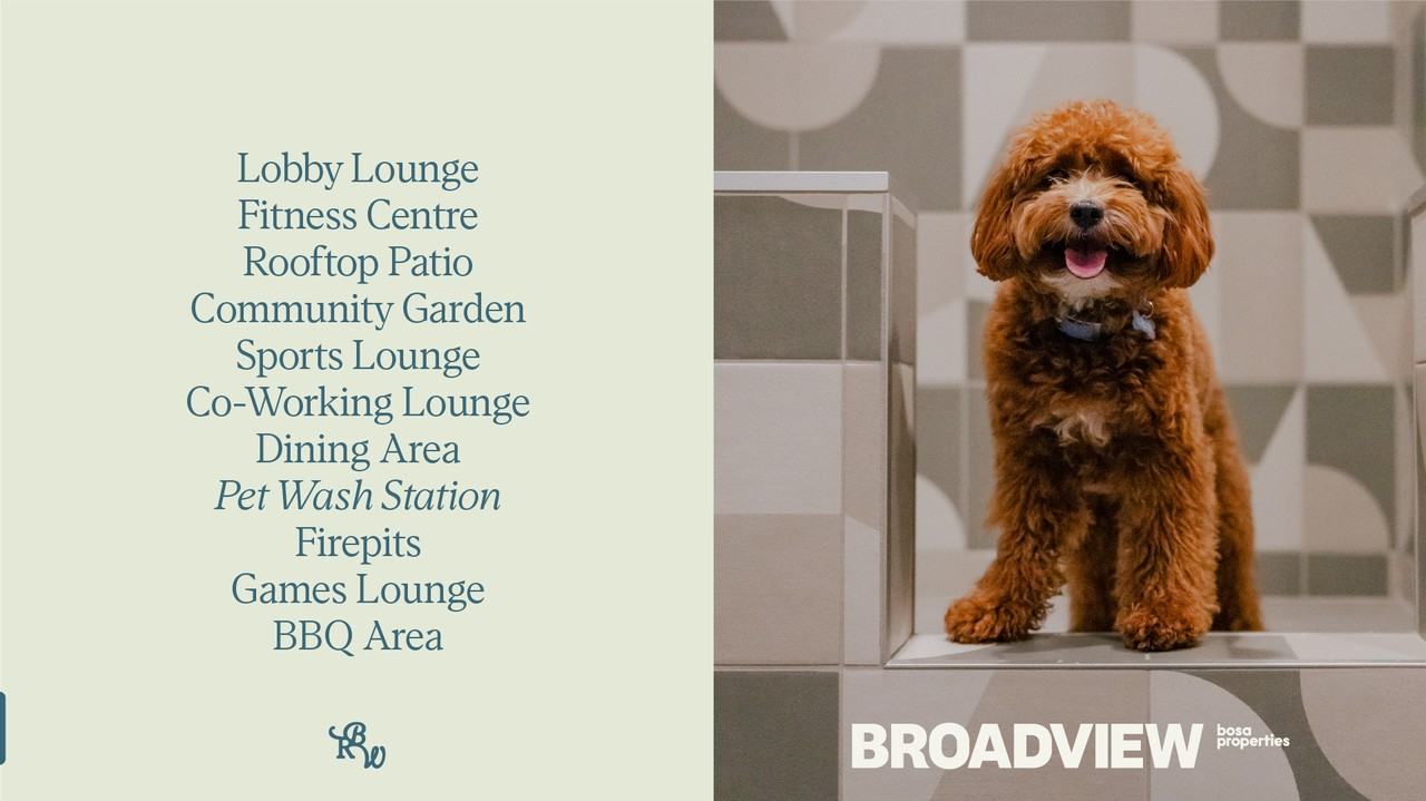 Broadview - Photo 7 of 46