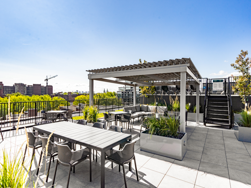 Will & Rich - Photo 5 of 30