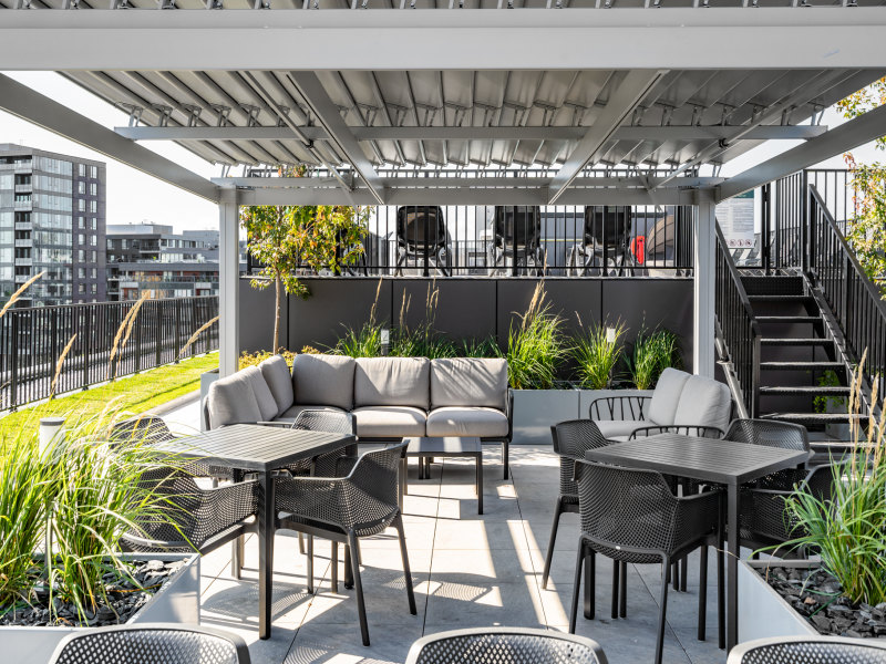 Will & Rich - Photo 6 of 30