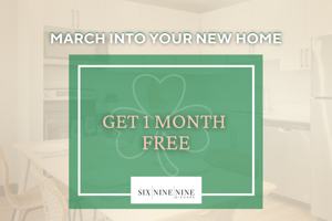 featured image of 699 Niagara St