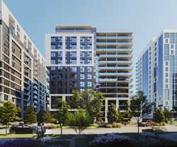 Anima - Photo 1 of 1