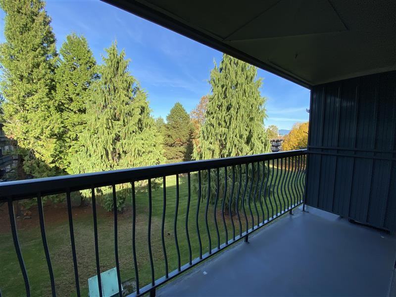 Buena Vista Apartments - Photo 7 of 9