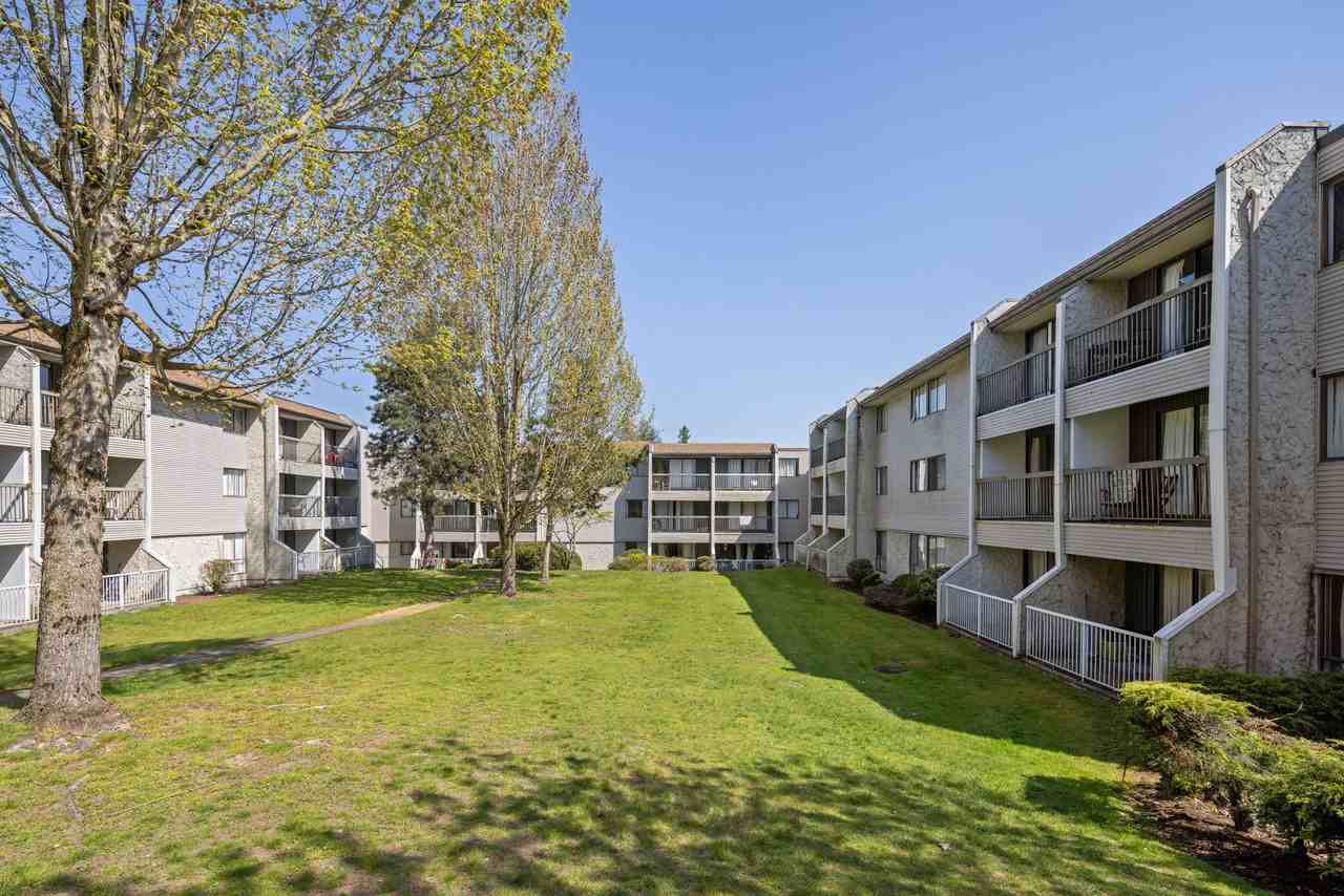 Guildford Gardens - Photo 5 of 18