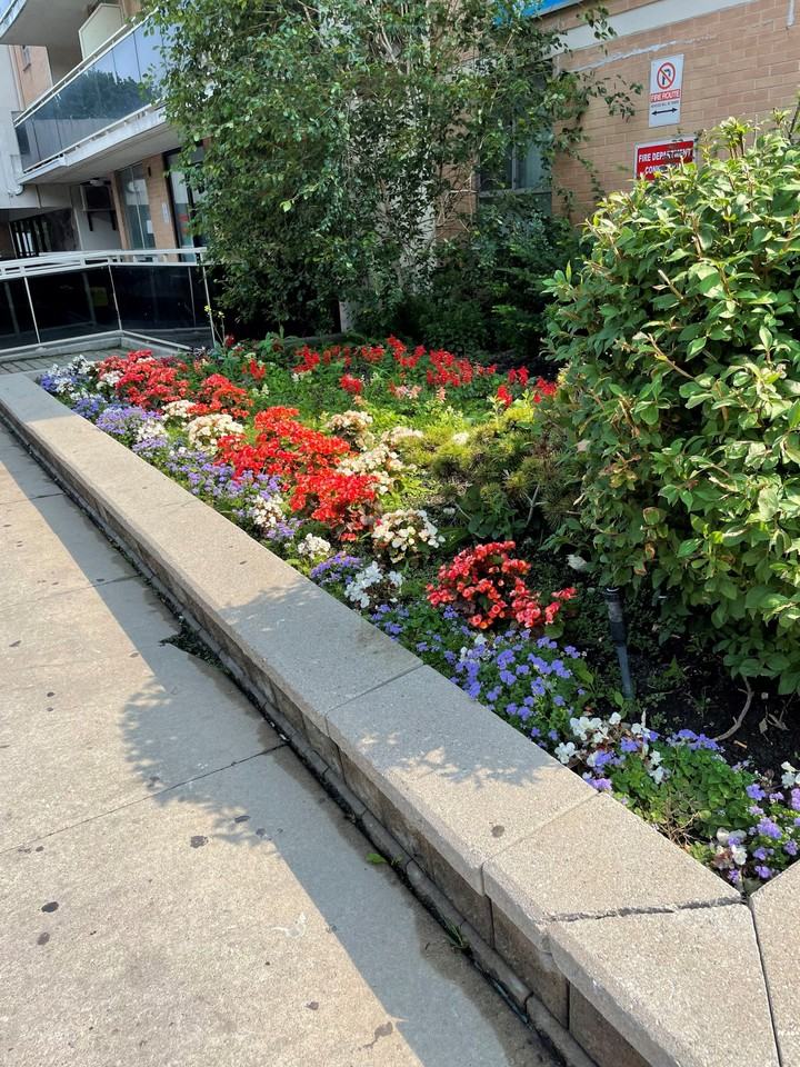 Apartment for rent at 46 Panorama Court - Photo 4 of 19