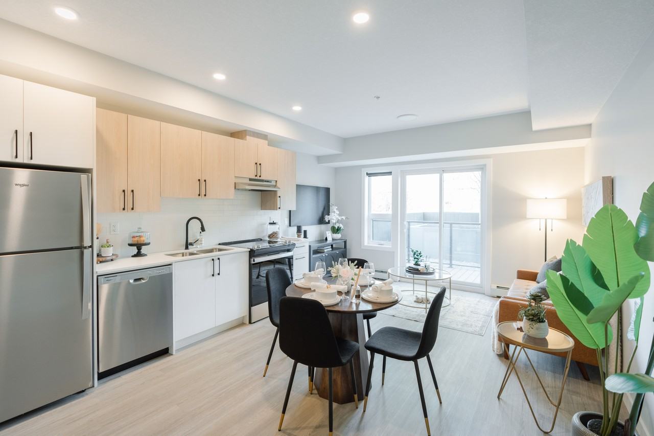 Enzo - Photo 5 of 30