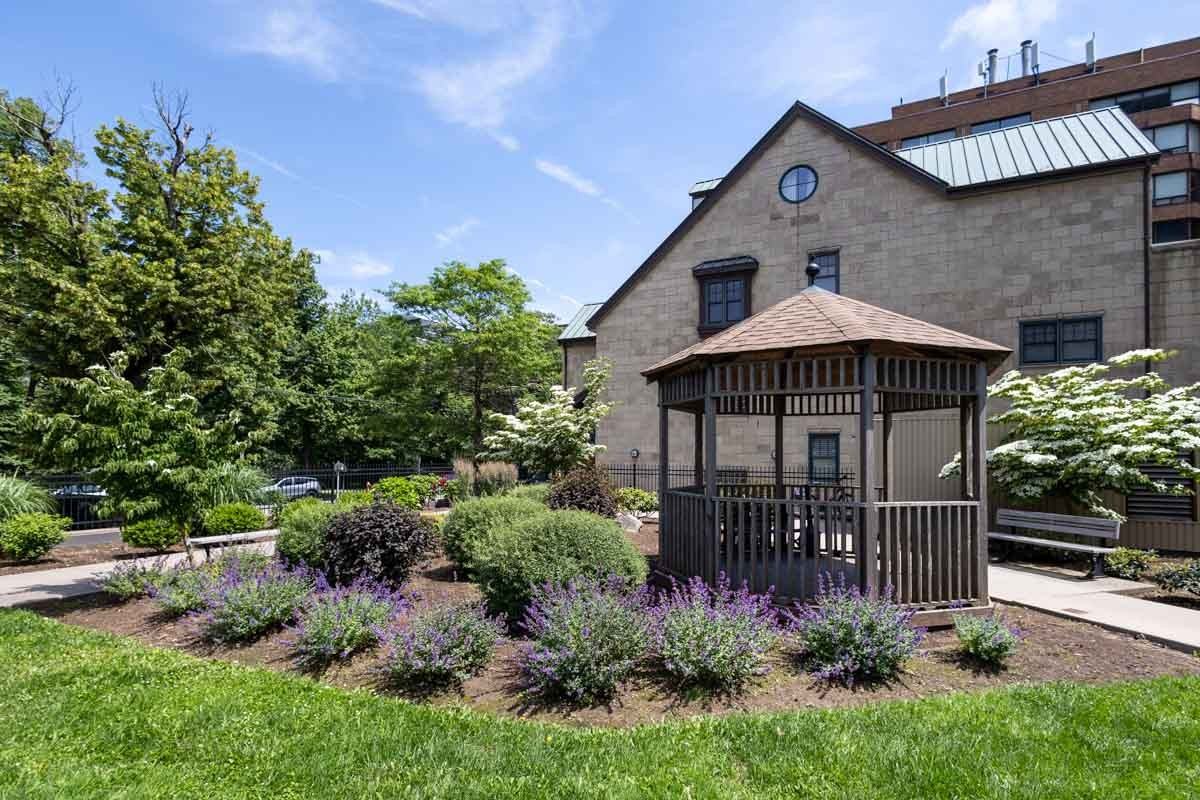 Spring Garden - Photo 7 of 20