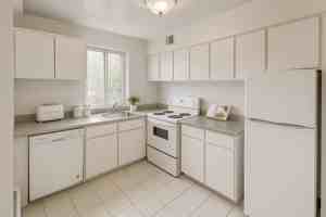 featured image of 255 Stewart St