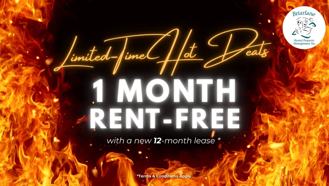 53 McMurchy Avenue North - Photo 1 of 1