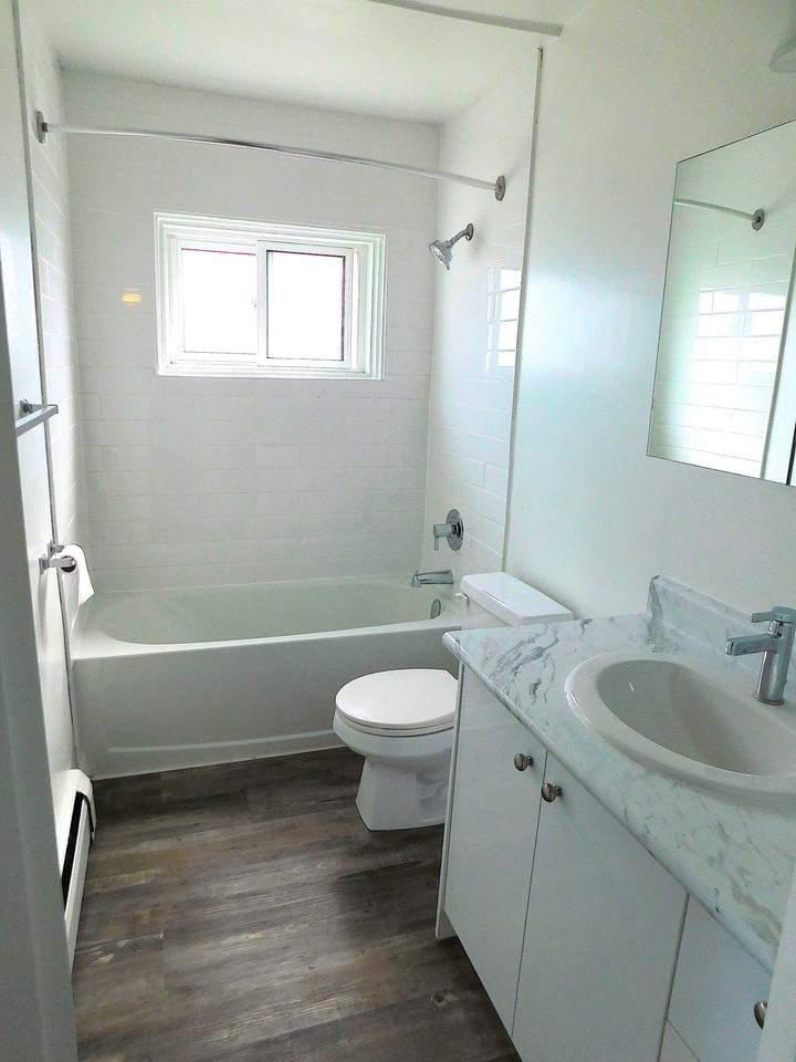 716 Downie Street - Photo 4 of 17