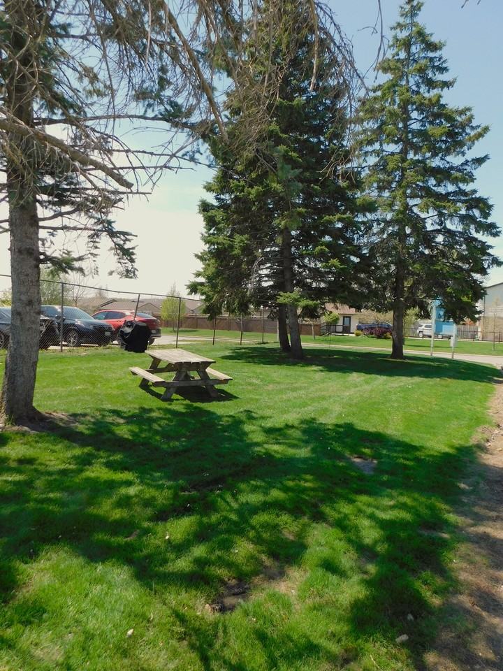 295 Home Street - Photo 7 of 14