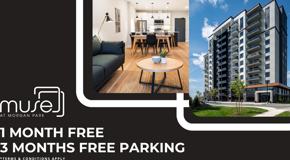 Muse (3395) - Photo 1 of 1