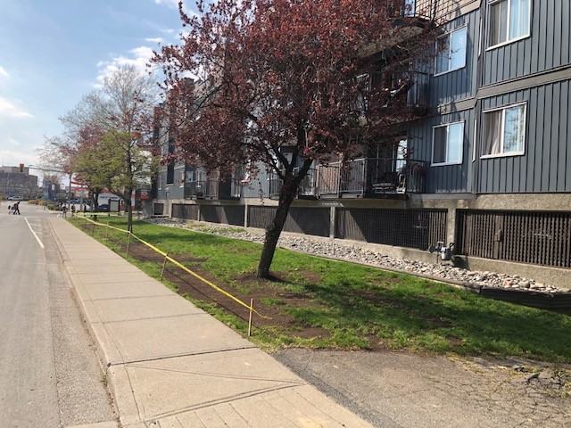 Lakeside Court - Photo 3 of 22