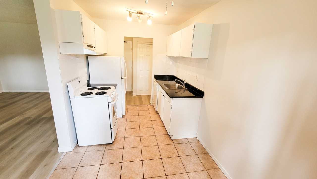 Pinetree Apartments - Photo 4 of 23